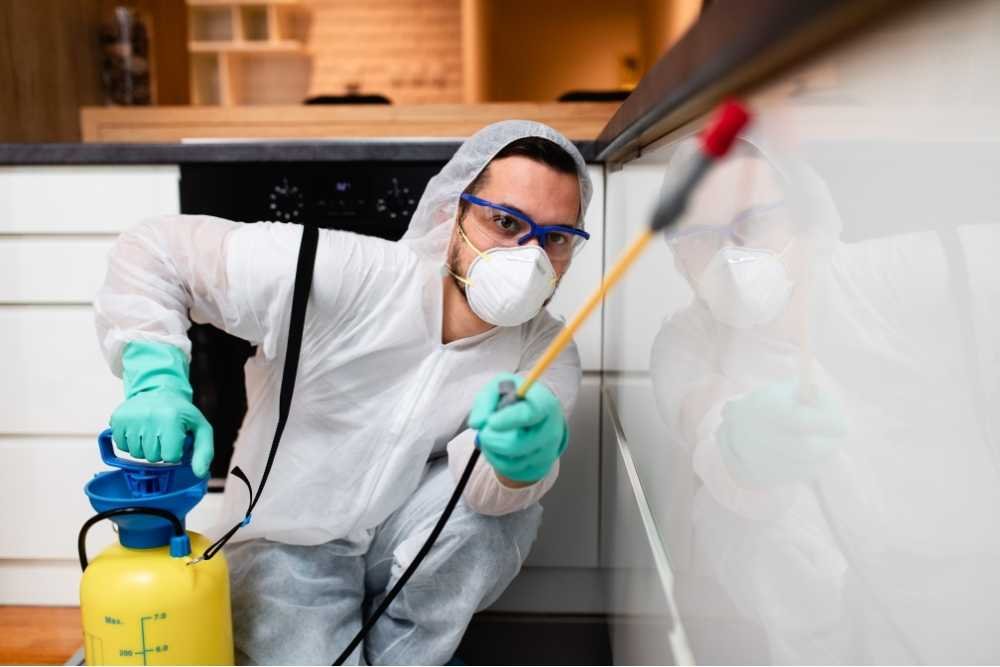 Residential Pest Control in Bangladesh