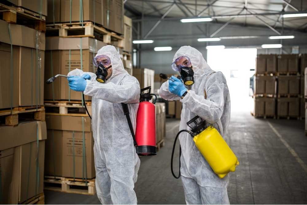 Eco-Friendly Pest Control Service in Bangladesh – Defence Pest Control