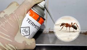 Ant control service