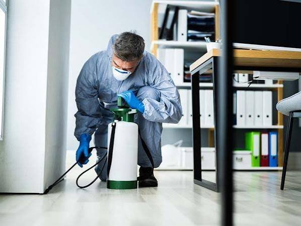 Pest Control Services